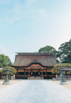 太宰府天満宮 御本殿